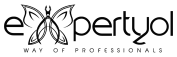 Expert Yol Logo