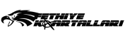 Fethiye Kartalları Logo