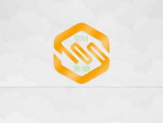 100 Evler Logo Tasarımı