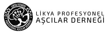Ascilar Logo
