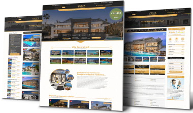 Anica Psd Arayüz Tasarımı