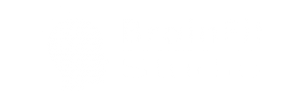 Brain Fit Logo
