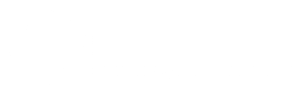 Lider Logo