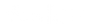 Sorokids Logo