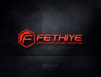 fethiye-bilisim-logo-tasarim-pro-grafik