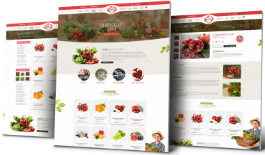 Nardanesi Arayüz Tasarımı